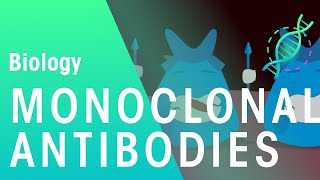 Monoclonal Antibodies  Health  Biology  FuseSchool [upl. by Aleyam]