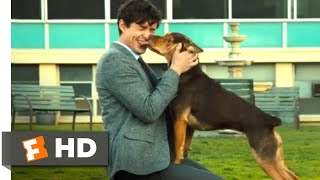 Return To The Doghouse  The Doghouse Funny Commercials [upl. by Nedrah]