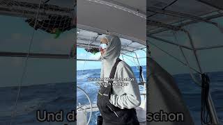 Tonga nach Neuseeland Tag 8 sailing adventure travel ocean food outdoors [upl. by Nerag]