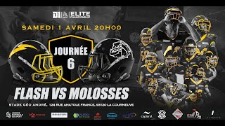 Elite J6  Flash vs Molosses [upl. by Aiasi837]