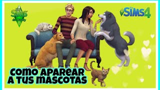 Como aparear a sus mascotas  Los Sims 4 [upl. by Sikras]