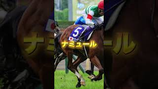 G1マイルCSの注目馬を３頭紹介＃競馬＃競馬予想＃京都競馬場＃ブレイディヴェーグ＃ナミュール＃ソウルラッシュ [upl. by Eanyl]