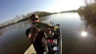 Topwater and Flippin for Spring Largemouth  Sangchris Lake [upl. by Nodlew223]