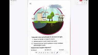 EKSEN YAYINLARI TYT DENEMESİ [upl. by Rizas]