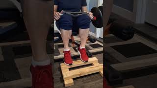 3 Simple Calf Exercises for Strength amp Stability at 60  Home Workout [upl. by Kcid]