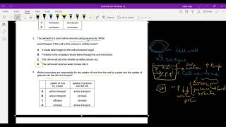 Diffusion  Osmosis Active Transport Practice question  SERIES I [upl. by Rehpotsirk]