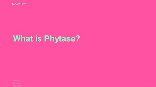 What is Phytase [upl. by Eycal]