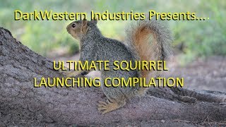 Ultimate Squirrel Launching Compilation [upl. by Carrelli141]