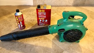 BEST GAS LEAF BLOWER ON THE MARKET [upl. by Nwavahs198]