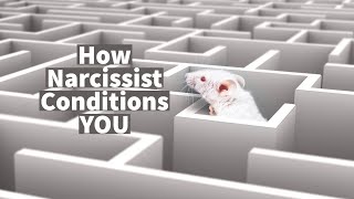 How Narcissist Conditions YOU [upl. by Notsyrb]