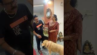 Moolai illai 🥴tamil comedy husbandwifecomedy couplegoals couplecomedy funny [upl. by Hnacogn]