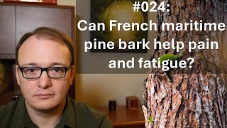 024  Can French maritime pine bark help pain and fatigue [upl. by Tessler216]