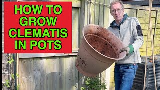 How To Grow Clematis In Pots [upl. by Eiuqnimod]