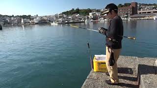 20241104 DAIWA 24 TOURNAMENT ISO AGS（ ダイワ トーナメント磯 2024年）フカセ釣り 堤防・波止 グレ釣り 実釣動画 by LAK PRODUCTS [upl. by Adran731]