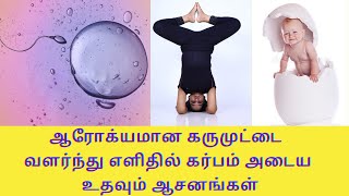 How To Improve Egg Growth amp Quality For Pregnancy  How To Get Pregnant Fast in Tamil By DrLakshmi [upl. by Yorel465]