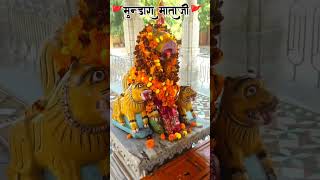 Mundara mata ji view sound shorts trending dj ipl ipl2025 matajistatus bhajan [upl. by Akenom]