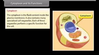 Standard 9 Science Chapter 5  Cell and Its Structure  Quick Revision [upl. by Suoirad426]