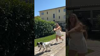 Dein Hund zieht an der Leine 😫❌ shorts dog leinenführigkeit [upl. by Seidel]