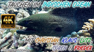 Tauchen im Indischen Ozean 🐠 🐡 🦞 [upl. by Aun]