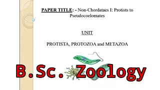 Lec 1  Non Chordate  Protista Protozoa Metazoa  Major Paper  Zoology  BSc 1st semester  UGC [upl. by Supple490]