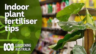 What fertiliser is best for indoor plants  Indoor Plants  Gardening Australia [upl. by Matlick]