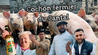 Cochon fermier du Cantal 🐷🌿 🍷  Gueuleton [upl. by Hudis588]