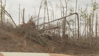 Newnan tornado 1 year later  Trees still scarred from storm [upl. by Malha]