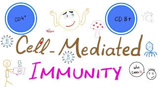 CellMediated Cellular Immunity aka Tcell immunity  Physiology amp Immunology [upl. by Eimmot76]