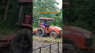 Dry Season Rice Farming Starts farmlife ricefarming isabela cagayanvalley region2 agriculture [upl. by Westberg996]