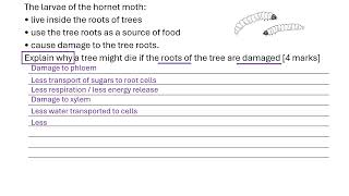 Damaged roots due to insects 6 mark question [upl. by Littman]