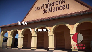 FILM quotLes Vignerons de MANCEYquot [upl. by Nirra425]