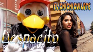 El Chichicuilote  Despacito video Oficial [upl. by Aihsemat]