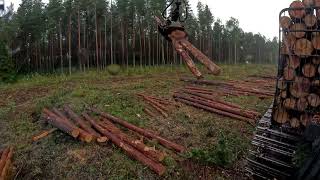 John Deere 1010G Forwarding pine pulpwood in thunderstorm [upl. by Bascio]