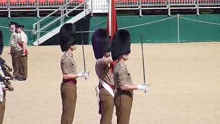 Rehearsal for the Trooping the Colour 2019 23 [upl. by Sajovich]