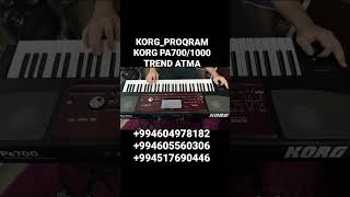 korg pa700 2025 azeribaijan set [upl. by Drofniw]