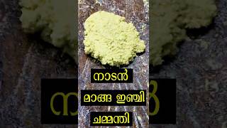 Chammanthi Recipe A Classic Kerala Chutney മാങ്ങ ഇഞ്ചി ചമ്മന്തി [upl. by Hanala]