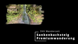 Premiumwanderung Sankenbacksteig in Baiersbronn im Schwarzwalds  Preview [upl. by Beebe]