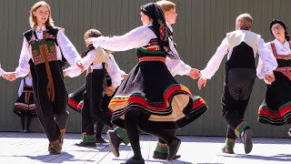 Norwegian folk dance and music Norsk Folkemuseum Bygdøy Oslo [upl. by Ym]