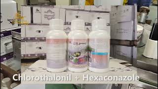 Chlorothalonil 250 GL  Hexaconazole 50 GL SC，Chlorothalonil  Hexaconazole，Mixture Fungicide [upl. by Crompton]