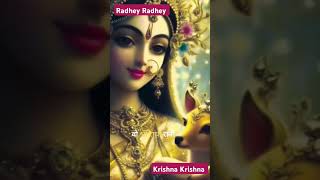 Radhey krishna 🙏🙏shortvideo [upl. by Arraes597]