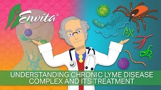 Understanding Chronic Lyme Disease Complex and Its Treatment [upl. by Acired643]