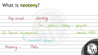 What is neoteny [upl. by Aisayn]