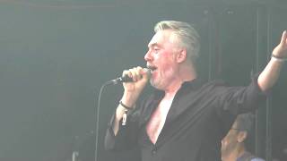 Rewind Festival 2018 The Undertones My Perfect Cousin [upl. by Gonnella]