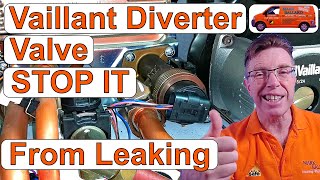 Vaillant Diverter Valve Leaking Simple Maintenance to STOP it from Leaking [upl. by Ailati]