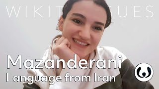 The Mazanderani language casually spoken  Negar speaking Mazanderani  Wikitongues [upl. by Herson804]