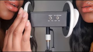 ASMR Twin Ear Eating amp Mouth Sounds Layered Ear Eating Audio [upl. by Gilges]