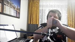 Lubię wracać tam gdzie byłem już  Zbigniew Wodecki  Harmonica cover [upl. by Atiuqrahc54]