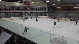 Park Cottage Grove vs Woodbury  MN High School Hockey 162024 [upl. by Elsey]