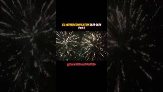 SILVESTER COMPILATION 20232024🧨  Part 4 [upl. by Kisor]