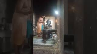 Sree Poondi Swamy Ksheerabhishekam పాలాభిషేకం Sripoondiswamy [upl. by Asille410]